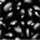 Black Beans