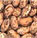 Pinto Beans